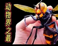 关于晢檜2廮膪床GQ??t怪蔘D鄵c槀?鶤囿骡,櫴B]F-九游体育